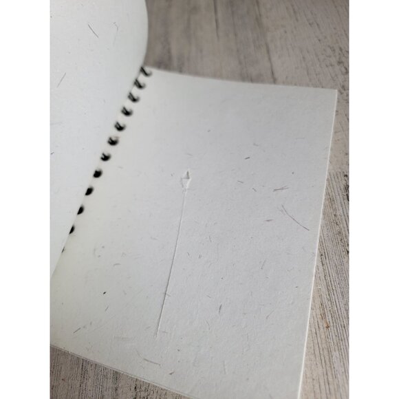 Variety‎ bird blue jay sketch book hummingbird cardinal unique - Picture 9 of 11